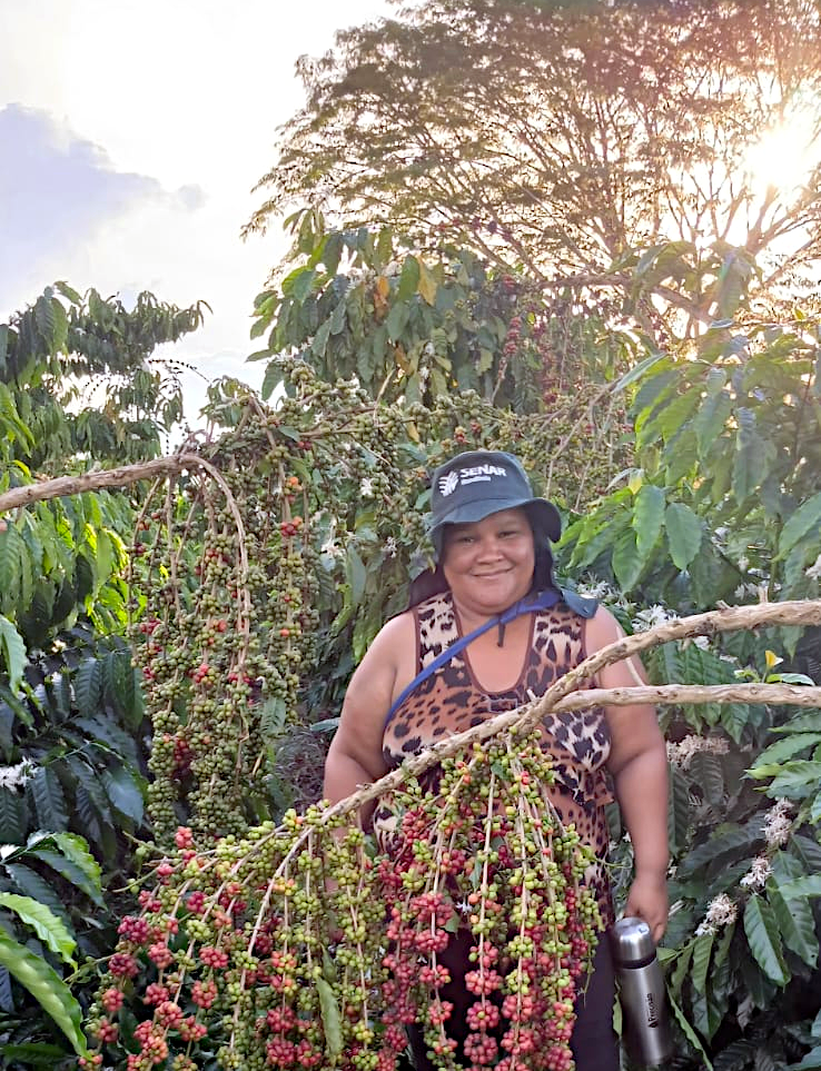 Café Robusta Amazônico